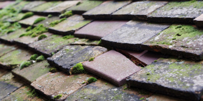 Ystradowen roof repair costs